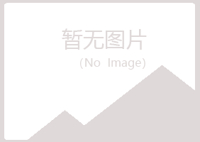 兰山区如霜律师有限公司